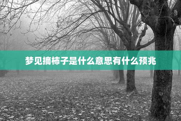 梦见摘柿子是什么意思有什么预兆