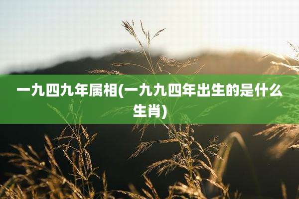 一九四九年属相(一九九四年出生的是什么生肖)
