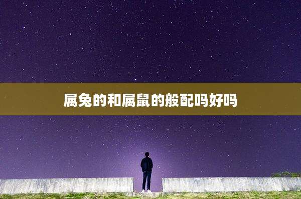 属兔的和属鼠的般配吗好吗