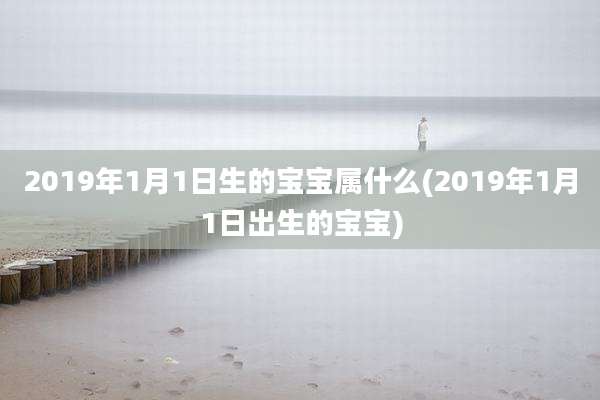 2019年1月1日生的宝宝属什么(2019年1月1日出生的宝宝)