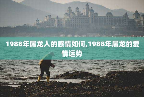 1988年属龙人的感情如何,1988年属龙的爱情运势
