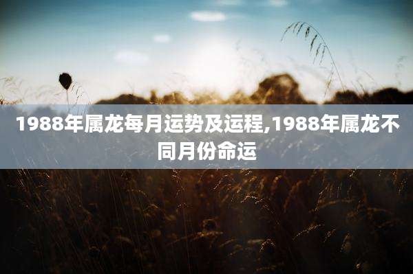1988年属龙每月运势及运程,1988年属龙不同月份命运