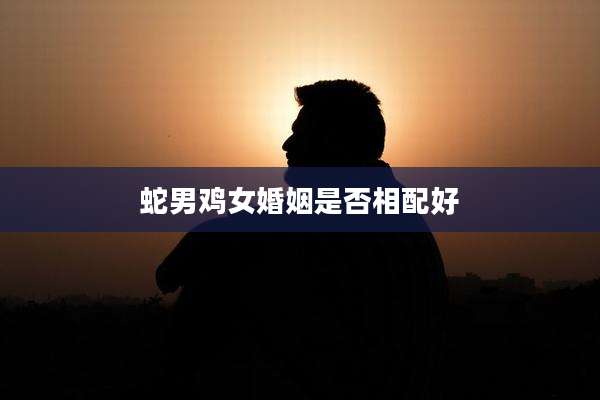 蛇男鸡女婚姻是否相配好