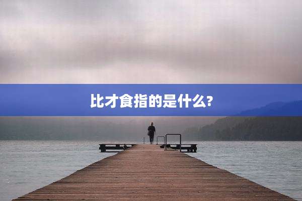 比才食指的是什么?