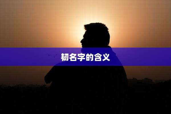 韧名字的含义