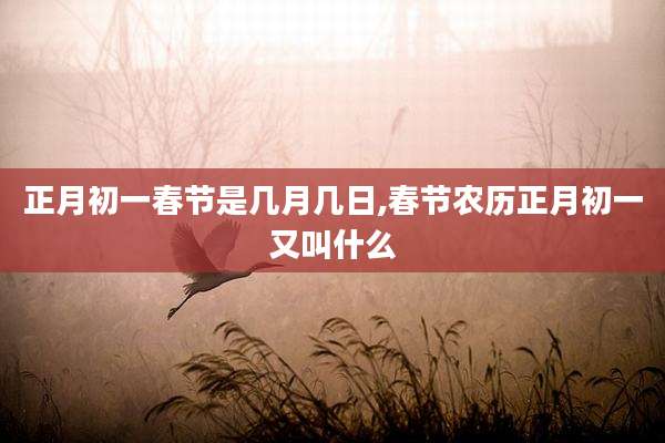 正月初一春节是几月几日,春节农历正月初一又叫什么