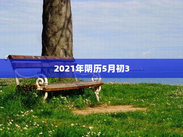 2021年阴历5月初3