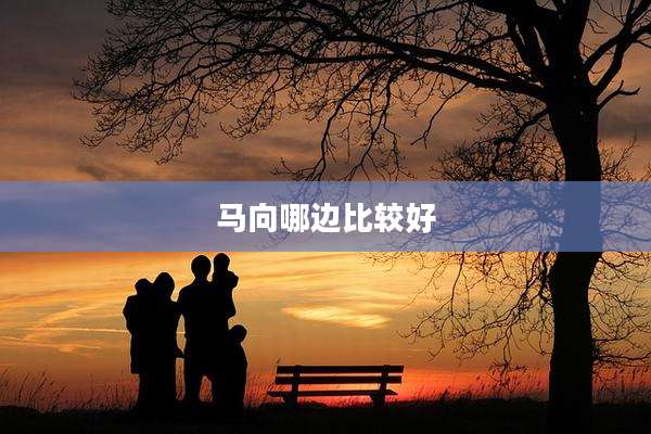 马向哪边比较好