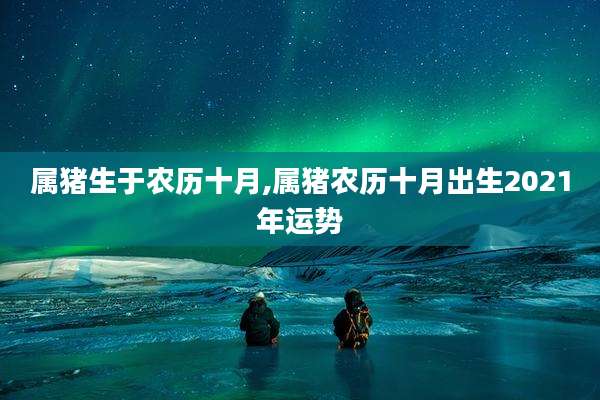 属猪生于农历十月,属猪农历十月出生2021年运势