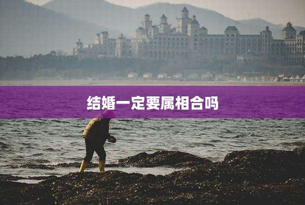 结婚一定要属相合吗