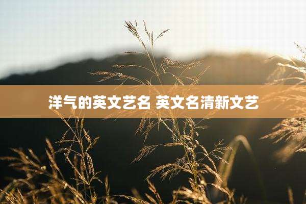 洋气的英文艺名 英文名清新文艺