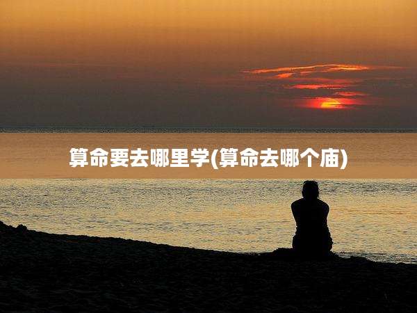 算命要去哪里学(算命去哪个庙)