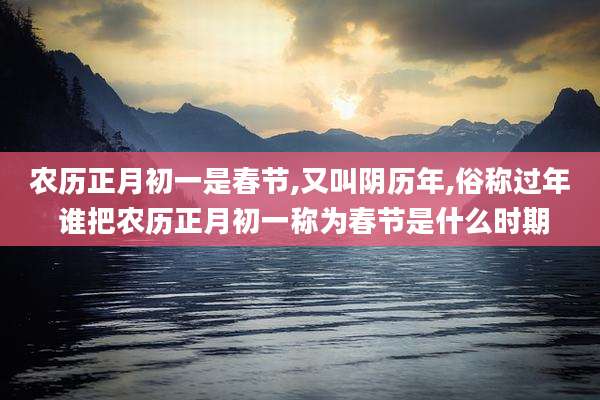 农历正月初一是春节,又叫阴历年,俗称过年 谁把农历正月初一称为春节是什么时期