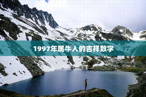 1997年属牛人的吉祥数字