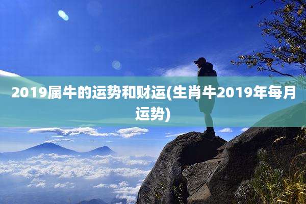 2019属牛的运势和财运(生肖牛2019年每月运势)