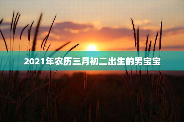 2021年农历三月初二出生的男宝宝