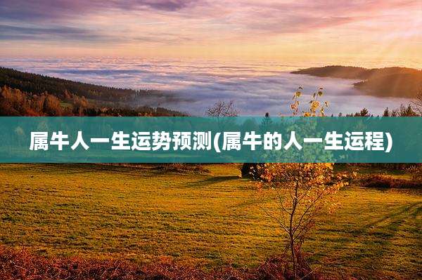 属牛人一生运势预测(属牛的人一生运程)