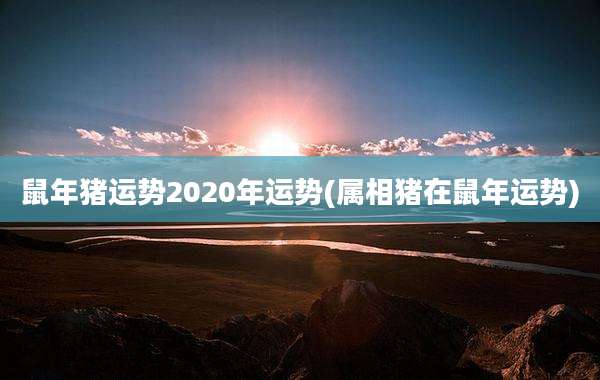 鼠年猪运势2020年运势(属相猪在鼠年运势)