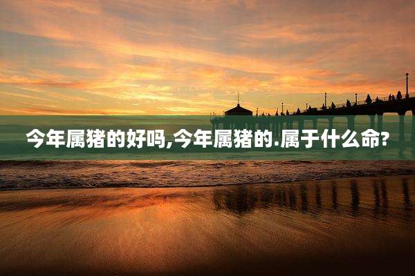 今年属猪的好吗,今年属猪的.属于什么命?