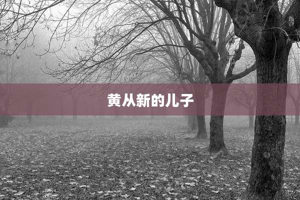 黄从新的儿子
