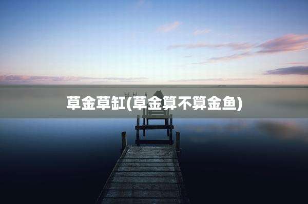 草金草缸(草金算不算金鱼)