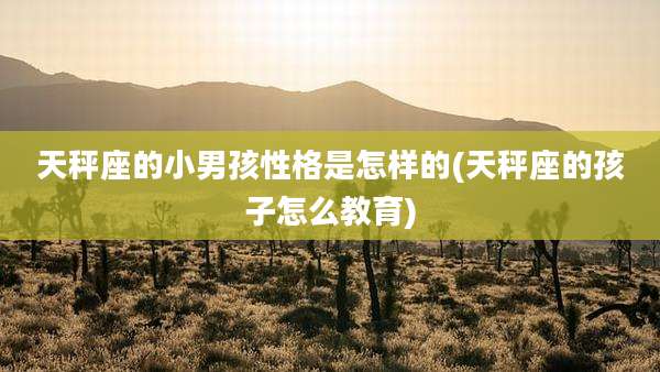 天秤座的小男孩性格是怎样的(天秤座的孩子怎么教育)