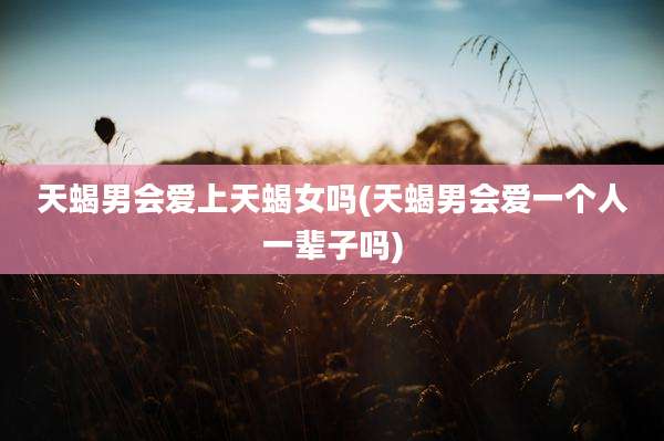 天蝎男会爱上天蝎女吗(天蝎男会爱一个人一辈子吗)