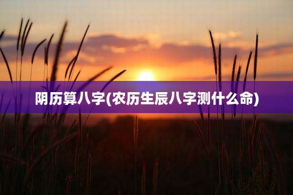 阴历算八字(农历生辰八字测什么命)