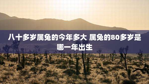 八十多岁属兔的今年多大 属兔的80多岁是哪一年出生