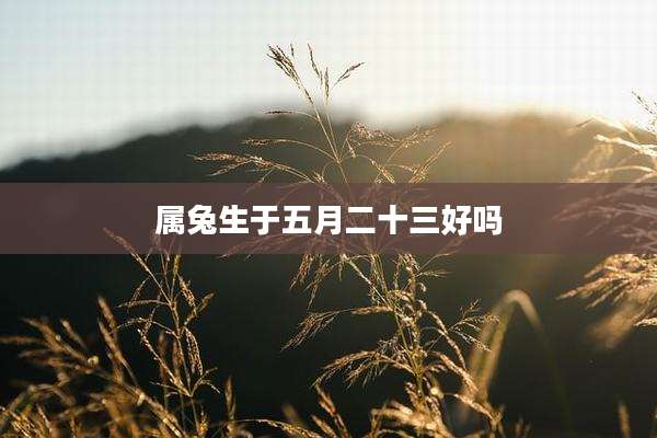 属兔生于五月二十三好吗