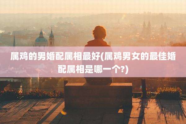 属鸡的男婚配属相最好(属鸡男女的最佳婚配属相是哪一个?)