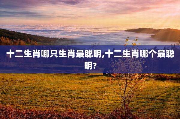 十二生肖哪只生肖最聪明,十二生肖哪个最聪明?