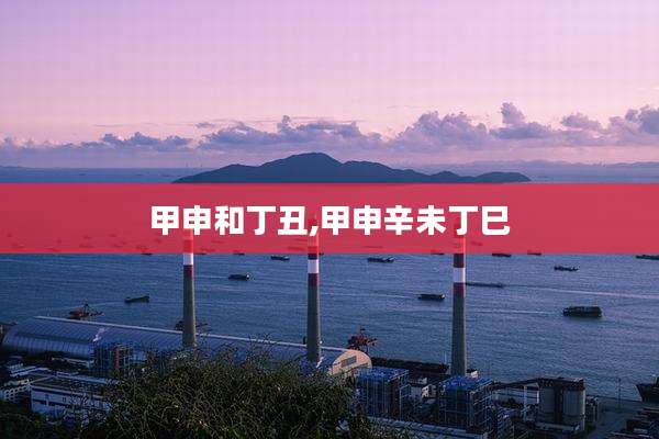 甲申和丁丑,甲申辛未丁巳