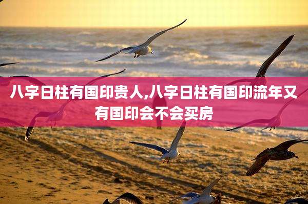 八字日柱有国印贵人,八字日柱有国印流年又有国印会不会买房
