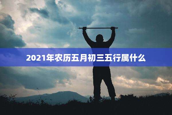2021年农历五月初三五行属什么
