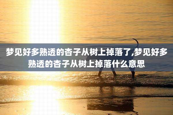 梦见好多熟透的杏子从树上掉落了,梦见好多熟透的杏子从树上掉落什么意思