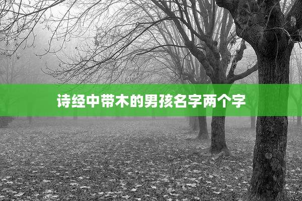诗经中带木的男孩名字两个字