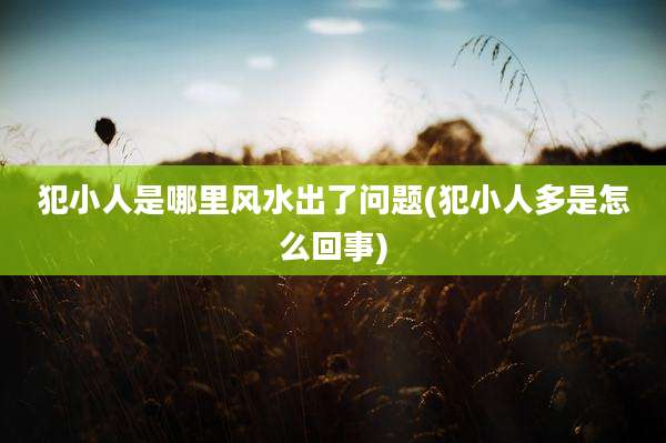 犯小人是哪里风水出了问题(犯小人多是怎么回事)