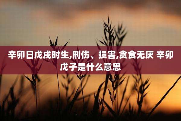 辛卯日戊戌时生,刑伤、损害,贪食无厌 辛卯戊子是什么意思