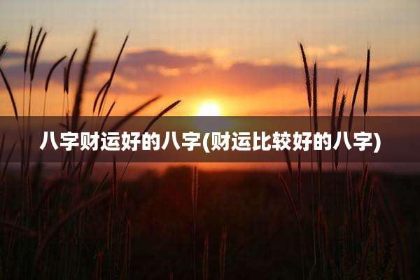 八字财运好的八字(财运比较好的八字)