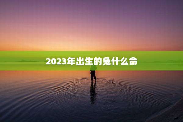 2023年出生的兔什么命