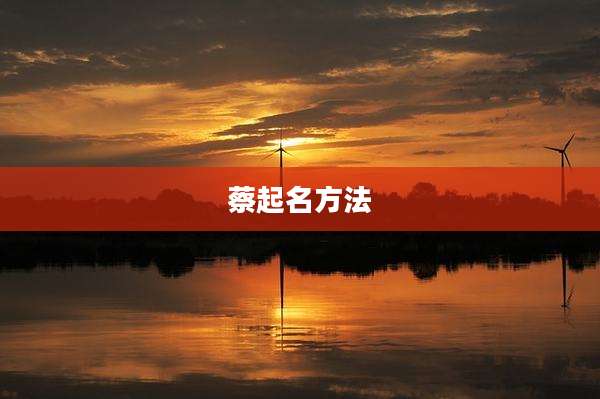 蔡起名方法