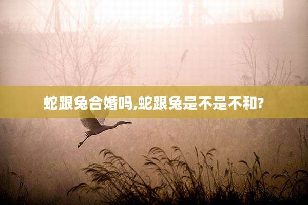 蛇跟兔合婚吗,蛇跟兔是不是不和?