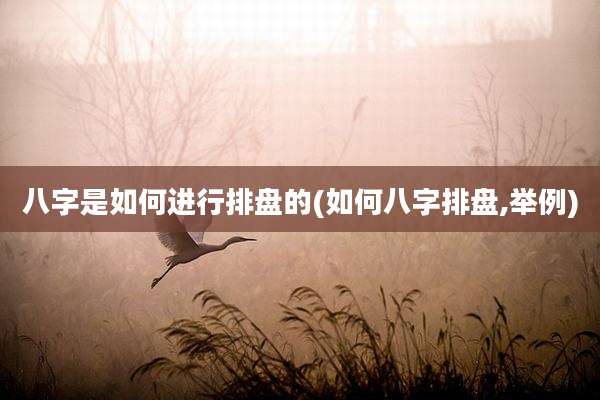八字是如何进行排盘的(如何八字排盘,举例)