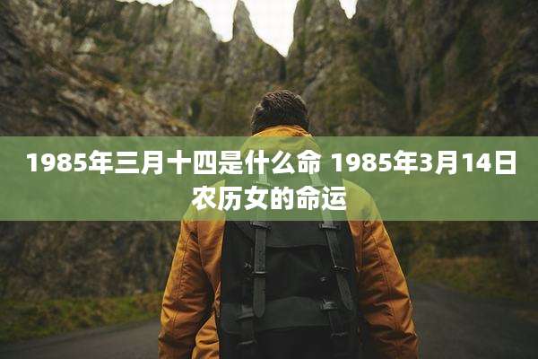 1985年三月十四是什么命 1985年3月14日农历女的命运