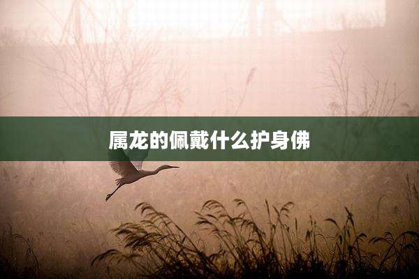 属龙的佩戴什么护身佛
