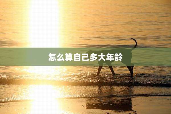 怎么算自己多大年龄