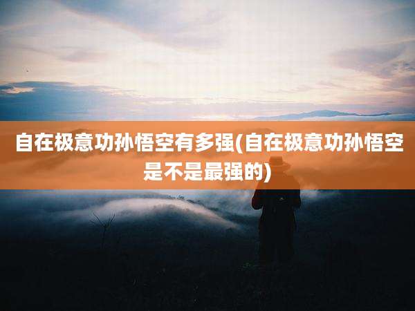 自在极意功孙悟空有多强(自在极意功孙悟空是不是最强的)