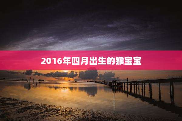 2016年四月出生的猴宝宝
