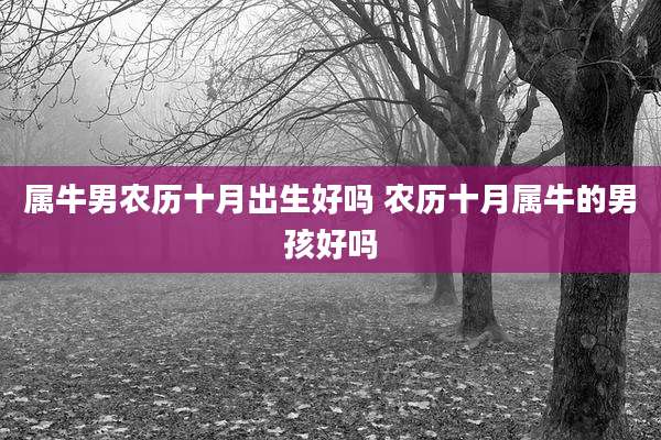 属牛男农历十月出生好吗 农历十月属牛的男孩好吗